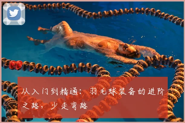 从入门到精通:羽毛球装备的进阶之路,少走弯路